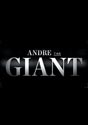 Andre the Giant