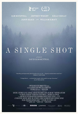 A Single Shot Poster